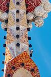 Peregrine falcon perched on top of mosaic tower, Sagrada Familia-Oriol Alamany-Photographic Print