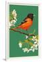 Oriole and Blossoms-Lantern Press-Framed Art Print