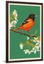 Oriole and Blossoms-Lantern Press-Framed Art Print