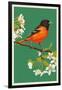 Oriole and Blossoms-Lantern Press-Framed Art Print