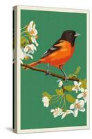 Oriole and Blossoms-Lantern Press-Stretched Canvas