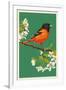 Oriole and Blossoms-Lantern Press-Framed Art Print