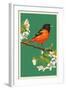 Oriole and Blossoms-Lantern Press-Framed Art Print