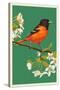 Oriole and Blossoms-Lantern Press-Stretched Canvas