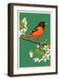 Oriole and Blossoms-Lantern Press-Framed Art Print