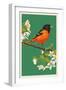 Oriole and Blossoms-Lantern Press-Framed Art Print