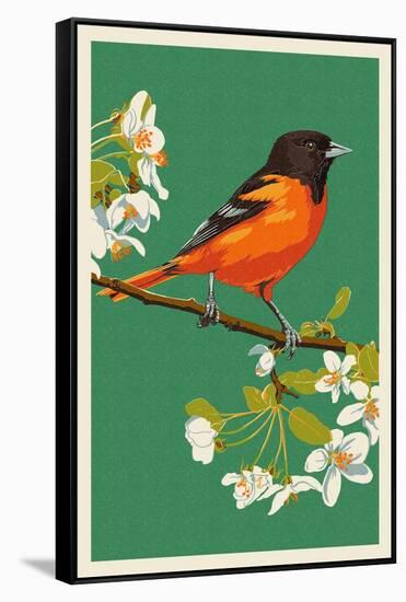 Oriole and Blossoms-Lantern Press-Framed Stretched Canvas