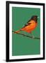 Oriole and Branch-Lantern Press-Framed Art Print