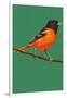 Oriole and Branch-Lantern Press-Framed Art Print