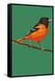 Oriole and Branch-Lantern Press-Framed Stretched Canvas