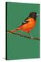 Oriole and Branch-Lantern Press-Stretched Canvas