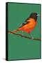 Oriole and Branch-Lantern Press-Framed Stretched Canvas