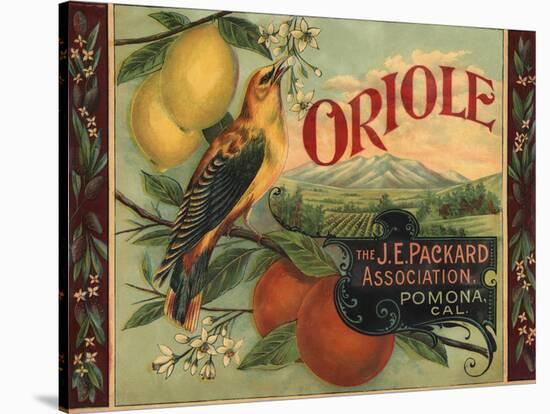 Oriole Brand - Pomona, California - Citrus Crate Label-Lantern Press-Stretched Canvas