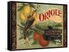 Oriole Brand - Pomona, California - Citrus Crate Label-Lantern Press-Framed Stretched Canvas