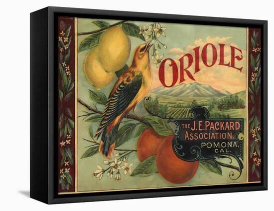 Oriole Brand - Pomona, California - Citrus Crate Label-Lantern Press-Framed Stretched Canvas
