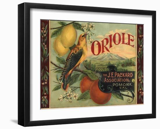 Oriole Brand - Pomona, California - Citrus Crate Label-Lantern Press-Framed Art Print