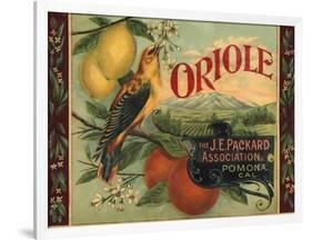 Oriole Brand - Pomona, California - Citrus Crate Label-Lantern Press-Framed Art Print