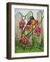 Oriole-Charlsie Kelly-Framed Giclee Print