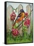 Oriole-Charlsie Kelly-Framed Stretched Canvas