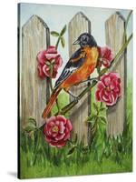 Oriole-Charlsie Kelly-Stretched Canvas