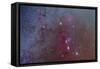 Orion and Monoceros Region-null-Framed Stretched Canvas