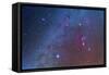 Orion and the Winter Triangle Stars-null-Framed Stretched Canvas