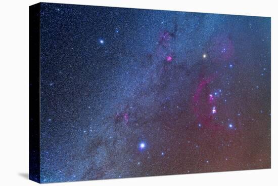 Orion and the Winter Triangle Stars-null-Stretched Canvas