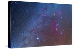 Orion and the Winter Triangle Stars-null-Stretched Canvas