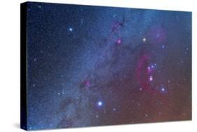 Orion and the Winter Triangle Stars-null-Stretched Canvas