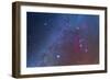 Orion and the Winter Triangle Stars-null-Framed Photographic Print