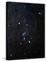 Orion Constellation-Eckhard Slawik-Stretched Canvas