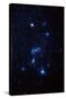 Orion Constellation-John Sanford-Stretched Canvas