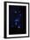 Orion Constellation-John Sanford-Framed Premium Photographic Print