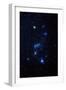 Orion Constellation-John Sanford-Framed Premium Photographic Print