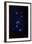 Orion Constellation-John Sanford-Framed Premium Photographic Print