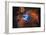 Orion Nebula Brilliant Space Galaxy Photo Poster-null-Framed Poster