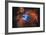 Orion Nebula Brilliant Space Galaxy Photo Poster-null-Framed Poster