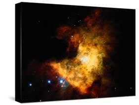 Orion Nebula-Terry Why-Stretched Canvas