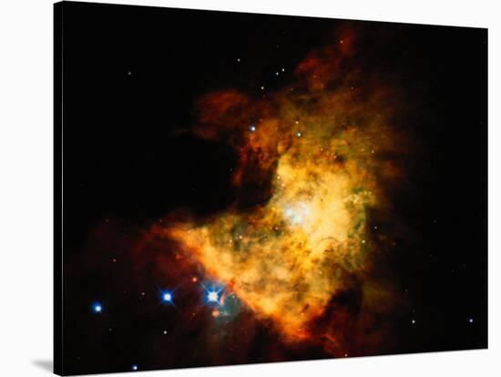 Orion Nebula-Terry Why-Stretched Canvas