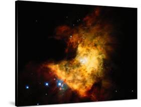 Orion Nebula-Terry Why-Stretched Canvas