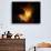 Orion Nebula-Terry Why-Premium Photographic Print displayed on a wall