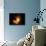 Orion Nebula-Terry Why-Photographic Print displayed on a wall