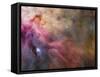 Orion Nebula-Stocktrek Images-Framed Stretched Canvas