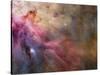 Orion Nebula-Stocktrek Images-Stretched Canvas