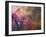 Orion Nebula-Stocktrek Images-Framed Premium Photographic Print