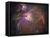 Orion Nebula-Stocktrek Images-Framed Stretched Canvas