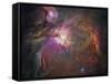 Orion Nebula-Stocktrek Images-Framed Stretched Canvas