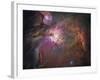 Orion Nebula-Stocktrek Images-Framed Photographic Print