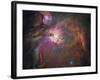 Orion Nebula-Stocktrek Images-Framed Photographic Print