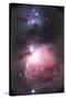 Orion Nebula-Chris Madeley-Stretched Canvas
